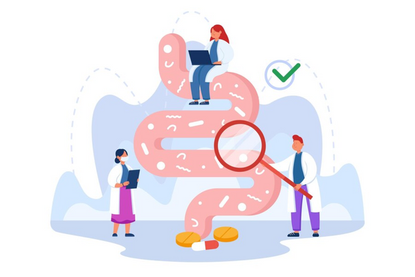 Gut health : The Impact of food and stress on your well being