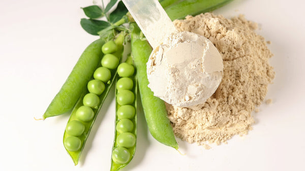 Pea Protein Isolate